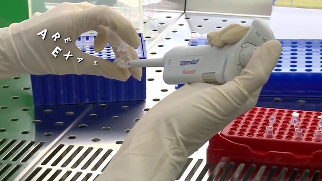 Agricultural Environmental Education In Russia