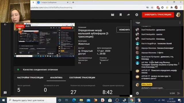 Определение морф малышей эублефаров (5 трансляция) смотреть онлайн
