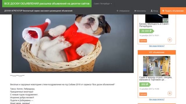 Такса, Колли, Лабрадоры, Праздничные визитеры! С новым годом поздравляют смотреть онлайн