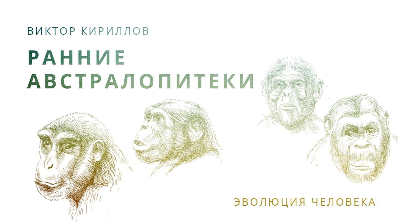 7. Ранние австралопитеки. Происхождение человека - 10 класс смотреть онлайн