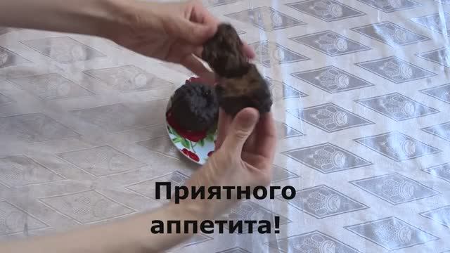 Постные шоколадные кексы без сахара смотреть онлайн