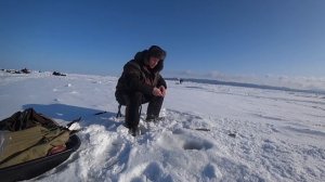 Ловля Корюшки (Зубарь) Сахалин!  Охотская лихорадка!