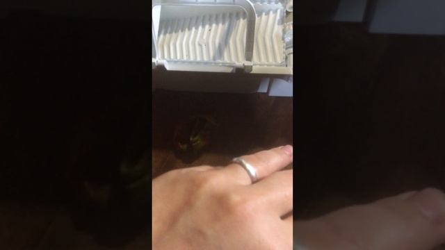 Возможно всё главное понять зачем Вам это надо. смотреть онлайн