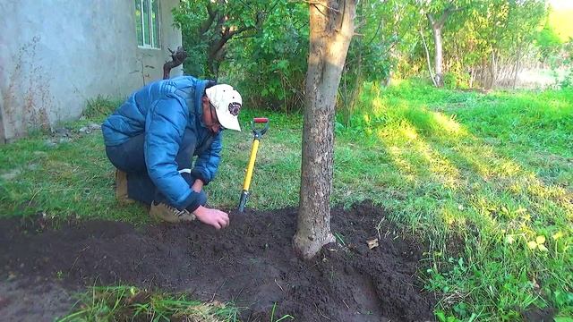 20 Вижу через очки жёлтый Алмаз (1).mp4 смотреть онлайн