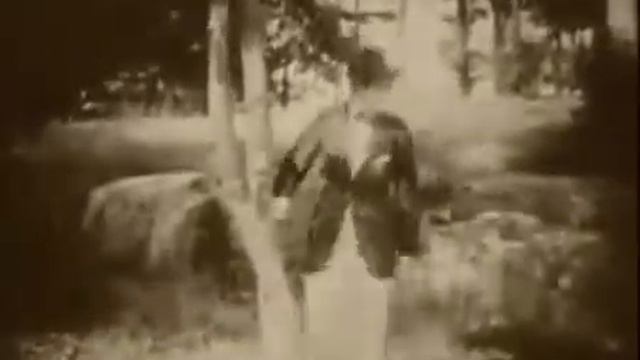 American Aristocracy (1916) Silent Movie смотреть онлайн