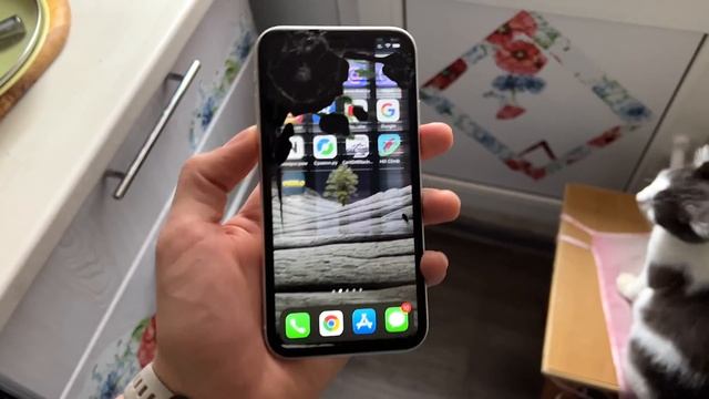 Разбил iPhone вдребезги! смотреть онлайн