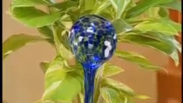 Чудо колба для полива домашних растений