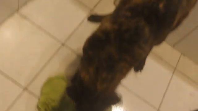 Tigra "perfekcyjna pani domu" :) смотреть онлайн