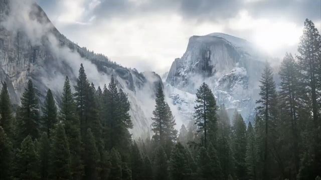 Какую ос выбрать?опять. .. смотреть онлайн
