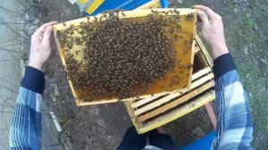 В марте пропала матка, как исправить?