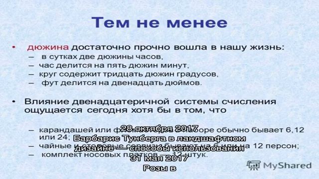 Почвопокровные растения – вашей дачи возрождение смотреть онлайн