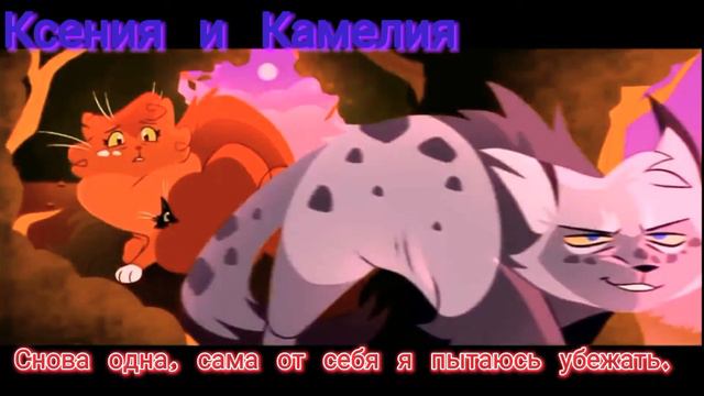 |Коты воители|- •Уголёк и Белка• {клип-Отпусти}. смотреть онлайн