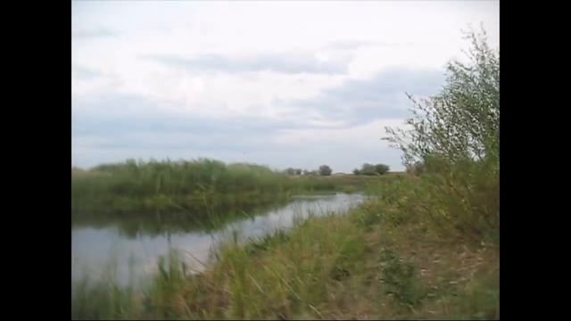 На щуку. Ловля щуки с берега. Рыбалка. 20.07.2016. смотреть онлайн