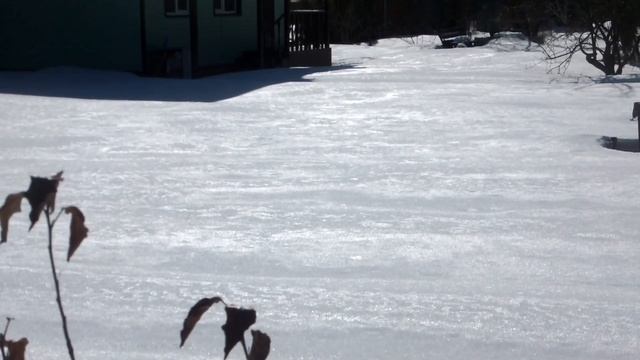 Первый день весны 2019 смотреть онлайн