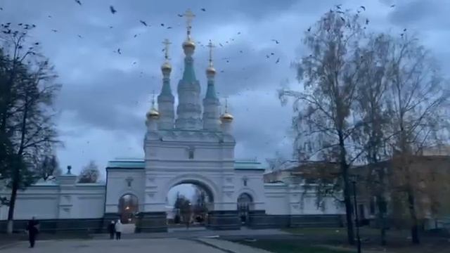 Приглашение на ретрит в Дивеево 3-6 ноября 2023 смотреть онлайн