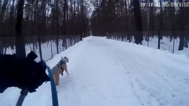 Копия видео "буксировка лыжника к месту старта, 08.03.16" смотреть онлайн