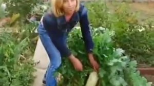 Готовим грядки к будущему сезону.Марина Рыкалина и Виталий Декабрев.