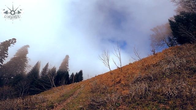 #Dikohod#Abhazia _ "Одиночка" _ Утро у горы #Мамзышха смотреть онлайн