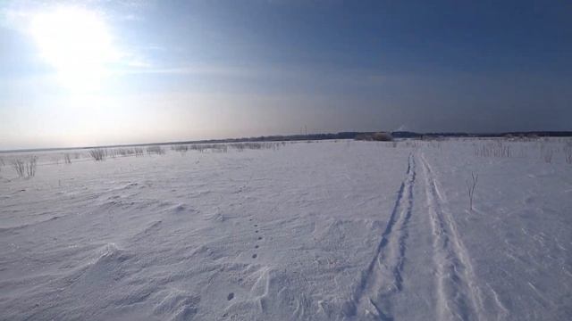 ЗИМНЯЯ ОХОТА НА БЕЛУЮ КУРОПАТКУ 2023 смотреть онлайн