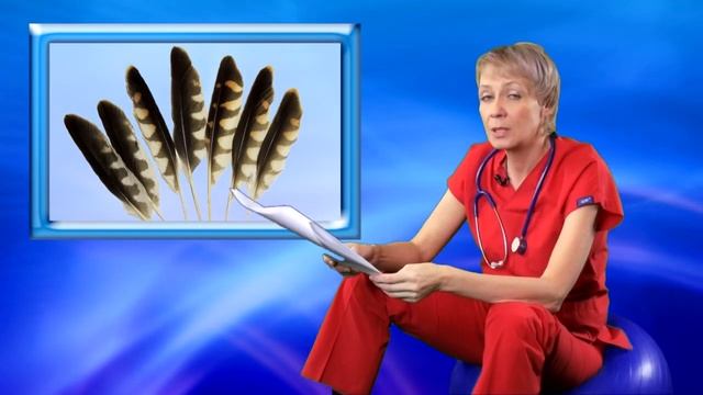 Лучшие психотерапевтические анекдоты смотреть онлайн