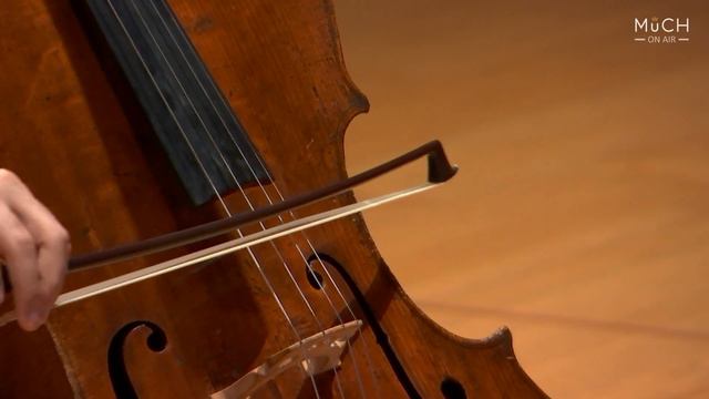 Artist Diploma - Edvard Pogossian: J. Brahms : Cello Sonata No.2 in F major, Op.99 смотреть онлайн