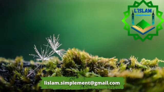 25/ Les Musulmans Se Passent Le Salam