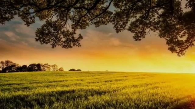 "В минуту жизни трудную" - Ковальчуки |Христианские песни| смотреть онлайн