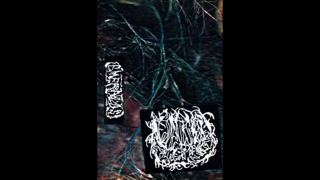 Emeralds - Arbol Del Tule смотреть онлайн