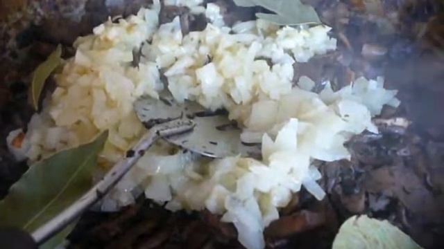 Грибная страсть
