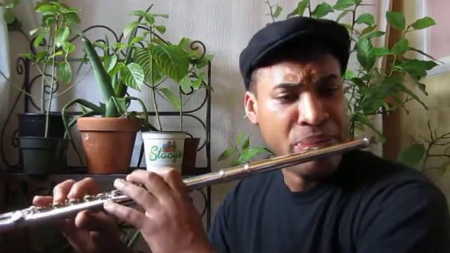 Concerto for Flute and Harp K299 by Wolfgang Amadeus Mozart, flute solo by Dameon Locklear смотреть онлайн