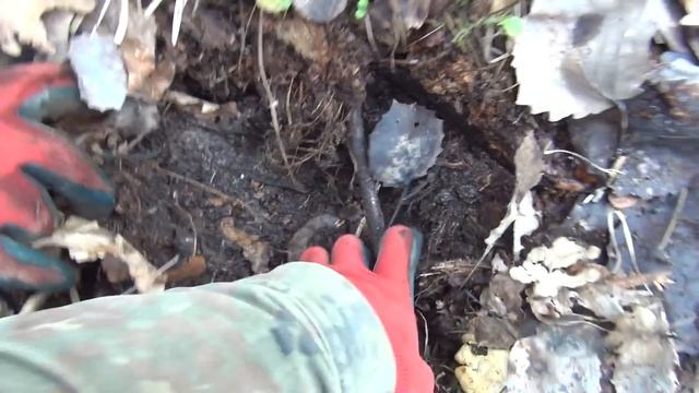 Нашли советский Танк Т-34 Раскопки Второй мировой // Юрий Гагарин смотреть онлайн