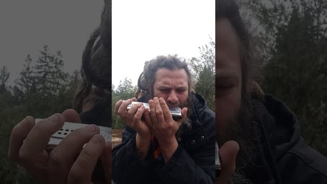 Amazing Grace hymn. performed on the Hohner Echo C and B chromatic harmonica March 24, 2021 смотреть онлайн