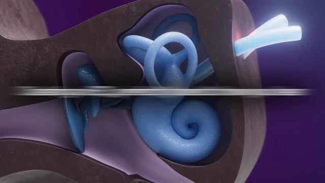 Denon PerL & PerL Pro： How They Work