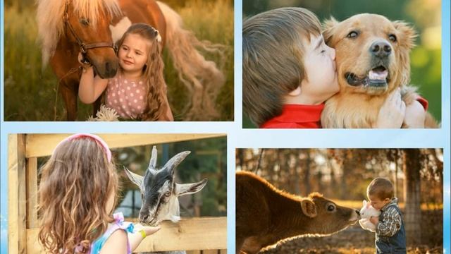 Знакомьтесь, профессия ВЕТЕРИНАР смотреть онлайн