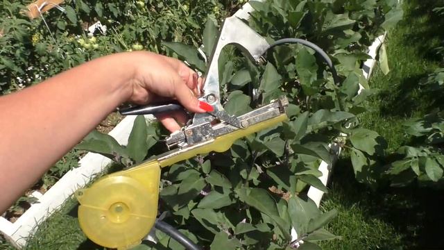 Тапинер! Правильное использование/Почему не захватывает ленту?