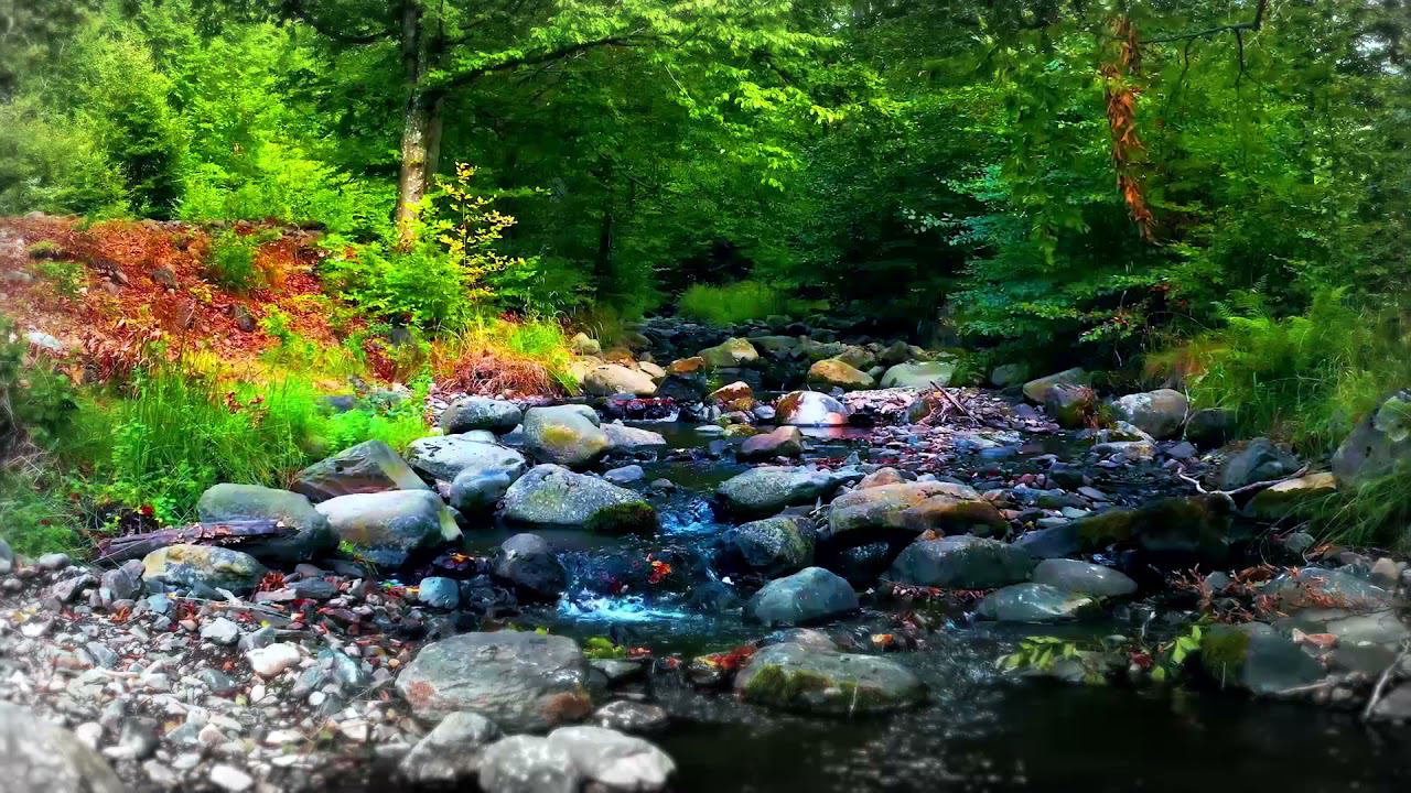 Музыка для Души Лесная Фантазия - Голоса Предков в Струнах Звонких. Кирилл Богомилов. смотреть онлайн