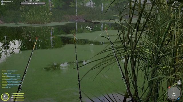 САДОК ЛЕЩА и КАРПА на ОСТРОГЕ (ПОСИДЕЛКИ) ●  РУССКАЯ РЫБАЛКА 4