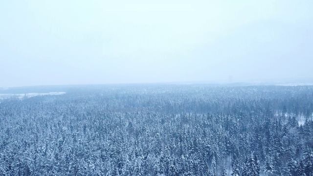 Зимний лес Зеленоград квадрокоптер смотреть онлайн