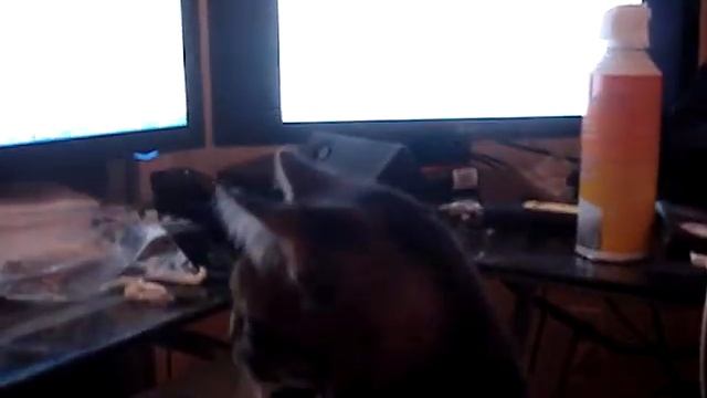 Makita watches TV смотреть онлайн