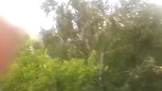 Сильный ветер Новосибирск смотреть онлайн