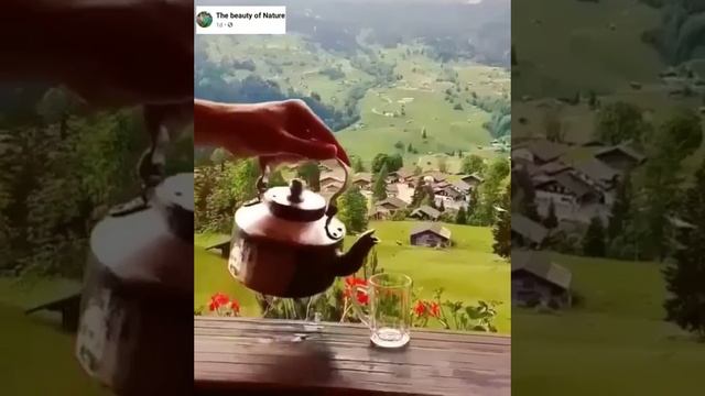 Beauty of Switzerland смотреть онлайн