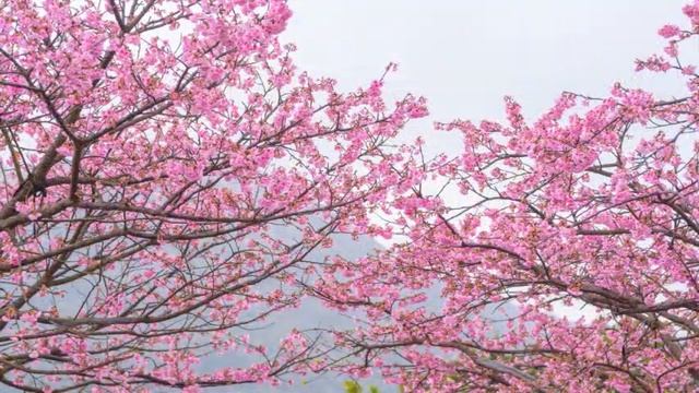 С полуслова, с полувзгляда, с полумысли - первые шаги на пути телепатического общения.