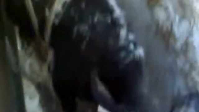 lalo anguiiano vs confetito смотреть онлайн