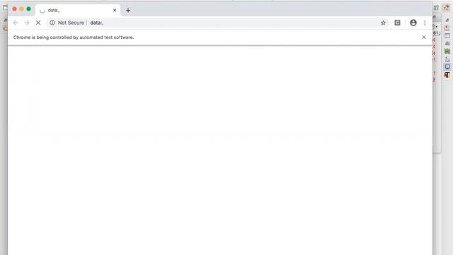 Taking FullPage Screenshot Using DevTools Selenium | Selenium Interview Questions | Screenshot смотреть онлайн