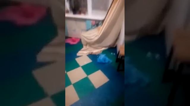 Собака одна дома смотреть онлайн