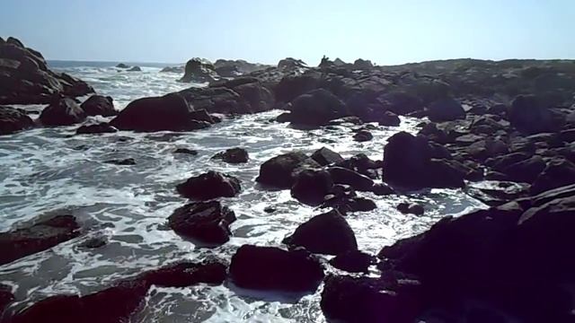 West Coast National Park смотреть онлайн