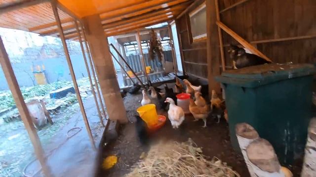 курятник зимний без вложений обогрев курятника смотреть онлайн