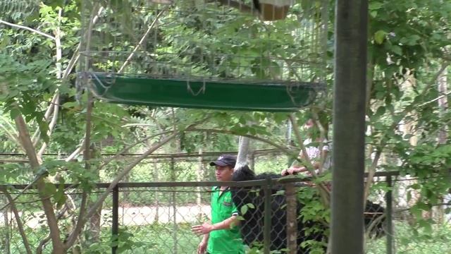 Вьетнам.Нячанг. Катание на страусах. смотреть онлайн