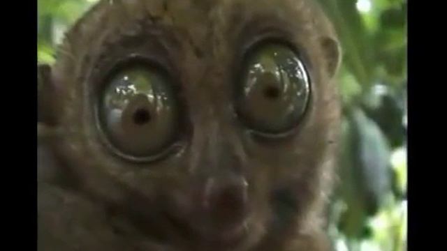 День зарплаты