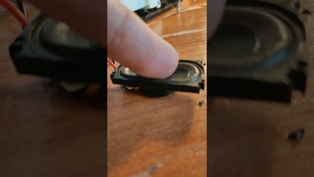 Палим  динамики